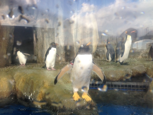 ５水族館