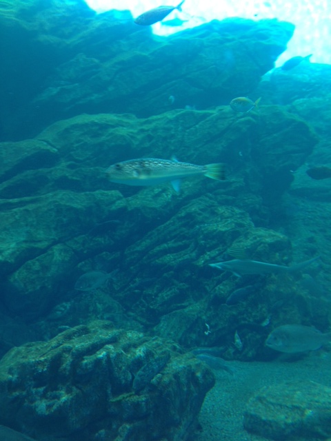 ２水族館