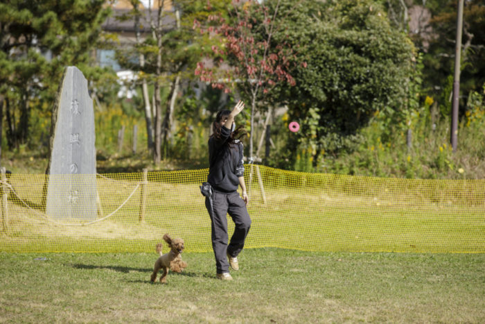 飼い主とプードル