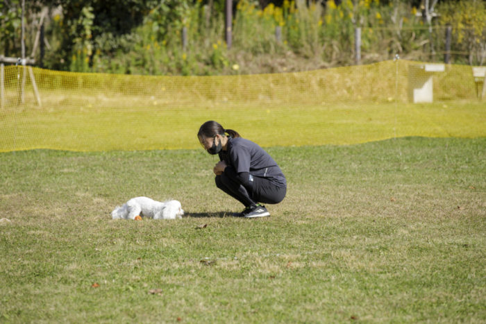 飼い主とプードル